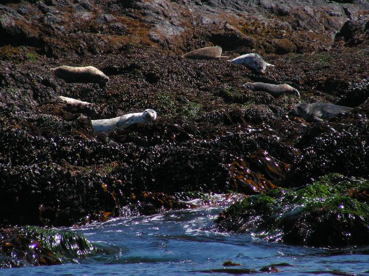 3007 Tofino excursion 